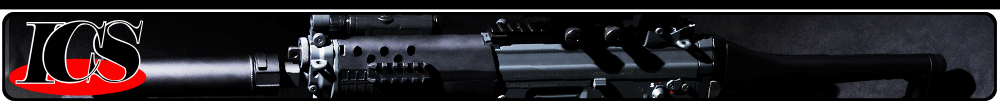 ICS